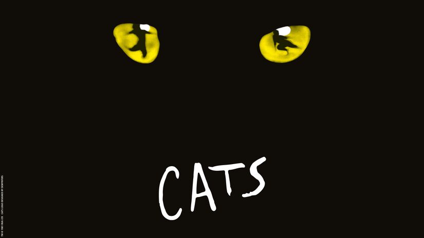CATS CATS